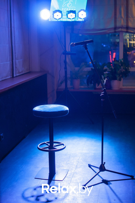 Поэтический вечер/А.С.Пушкин, фото № 2