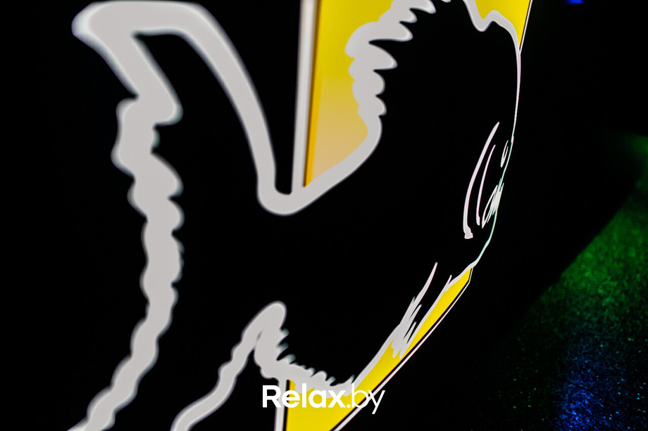 Med nigh party, фото № 34