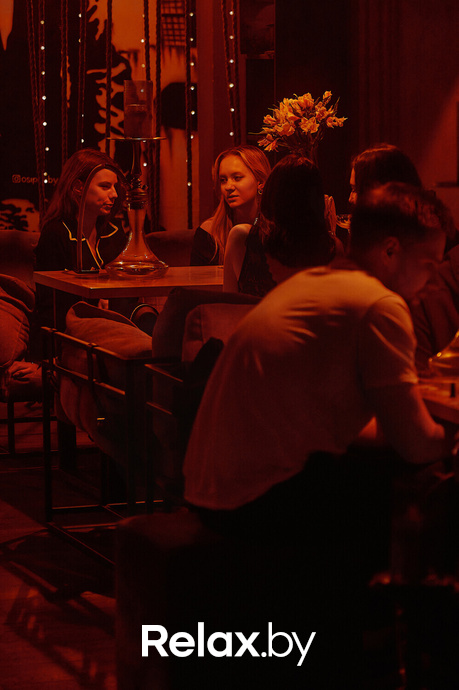 Monkey Brothers, фото № 8