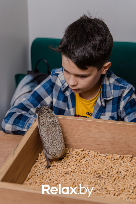 Открытие антикафе «Ёж кафе», фото № 18