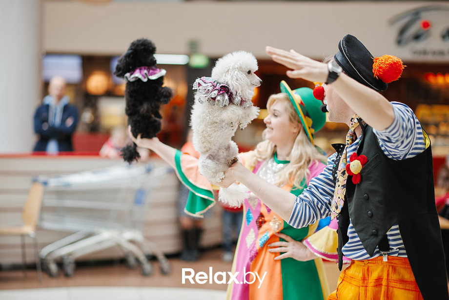 Благотворительный закрытый показ «Ловушка для привидения», фото № 33