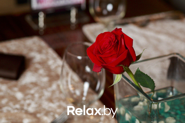 Mojito Party, фото № 38