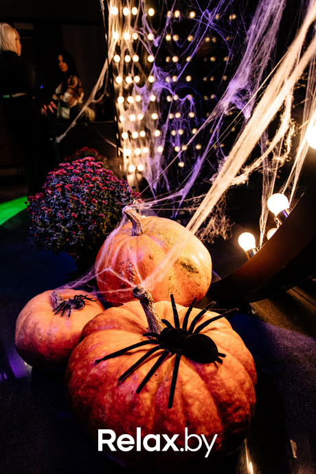 Terra Karaoke, фото № 21