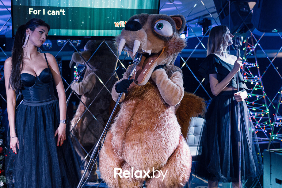 Новогодняя ночь, фото № 6