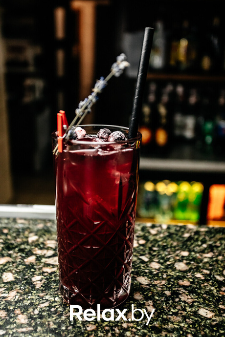 Terra Karaoke, фото № 27