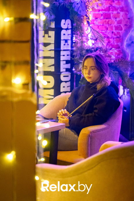 Monkey Brothers, фото № 11