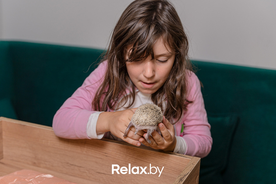 Открытие антикафе «Ёж кафе», фото № 21