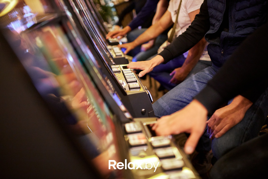 Шоу Пекинская капуста, фото № 17