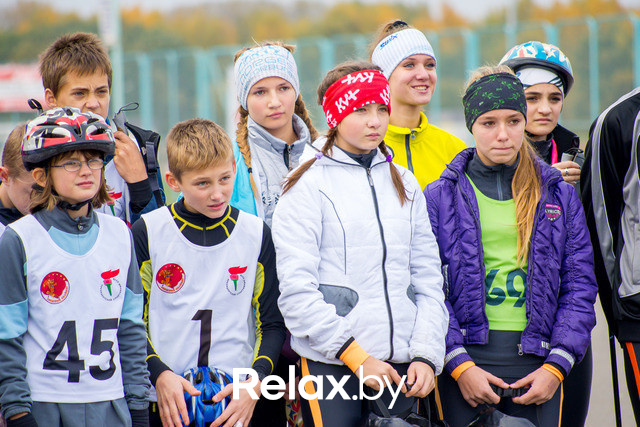 Золотая осень с Васильками, фото № 42