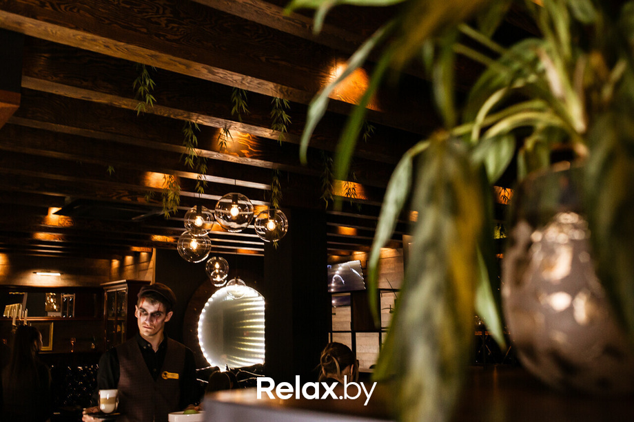 Дональд&Трамп, фото № 1