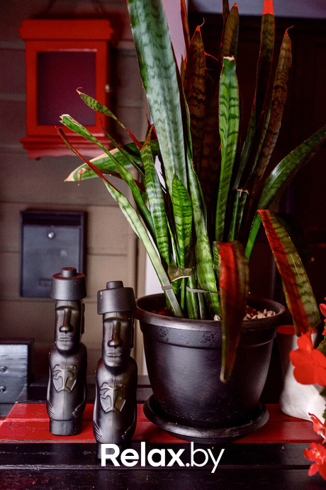 Parker House, фото № 42