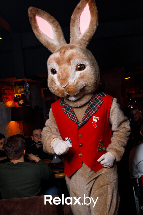 Live Lounge, фото № 10