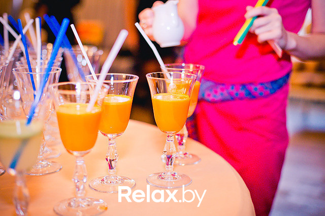 Пресс-ланч «Натуральные соки: готовим правильно и пьём с удовольствием», фото № 82
