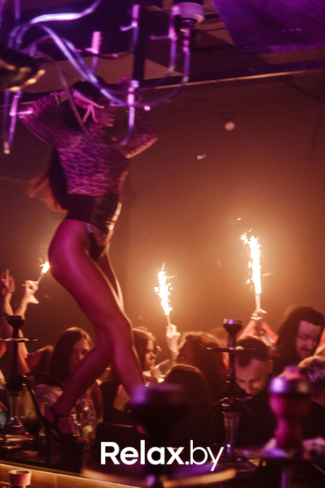 Saturday «Terrarium», фото № 18