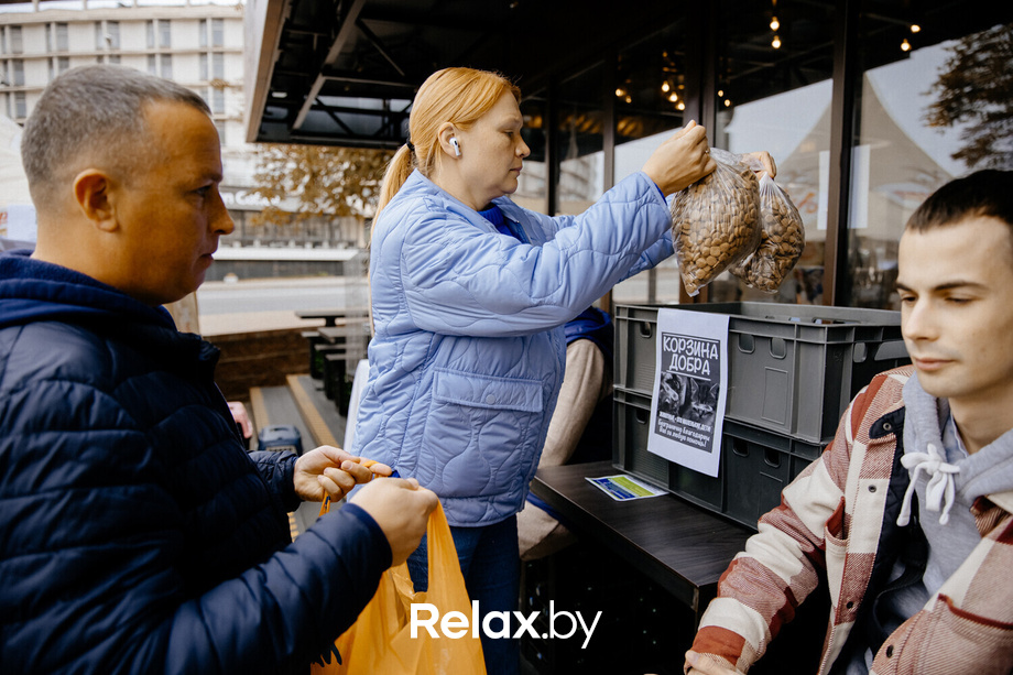 Благотворительная акция пушистого добра, фото № 87