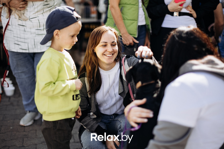 Акция Пушистого Добра, фото № 51