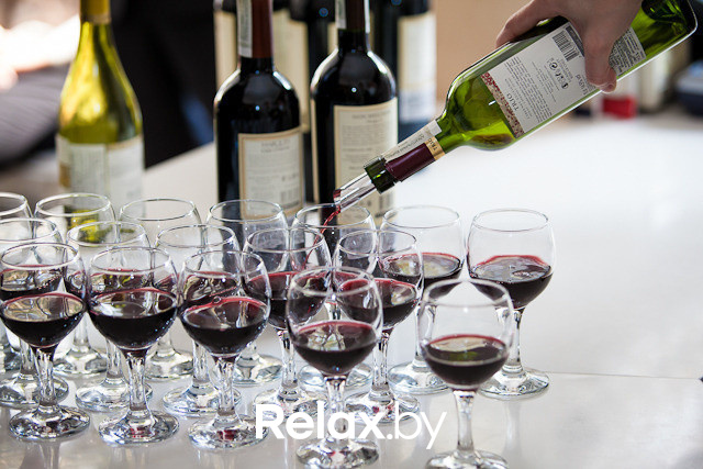 Дегустация чилийских вин, фото № 74