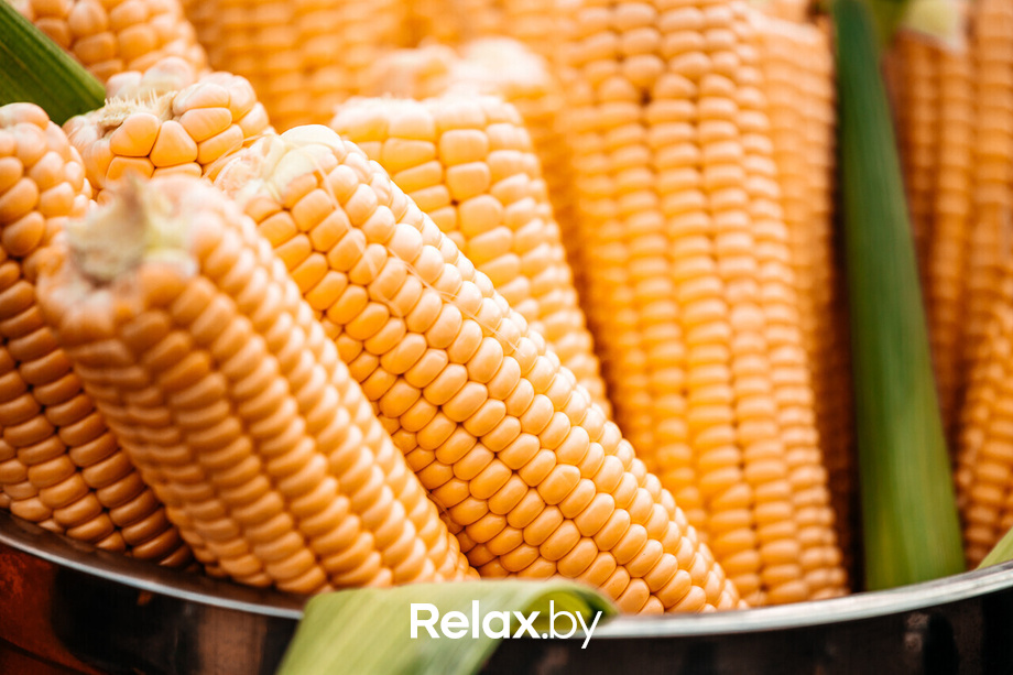 Viva Braslav Open Air, фото № 23