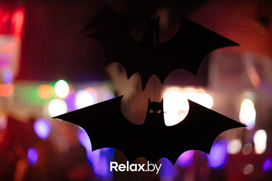 Halloween Party, фото № 20