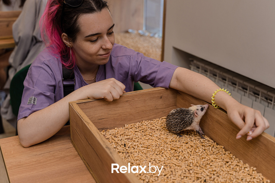 Открытие антикафе «Ёж кафе», фото № 56