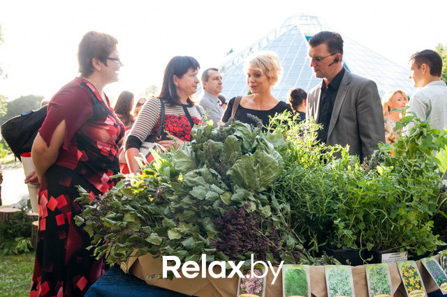 Благотворительный раут, фото № 27