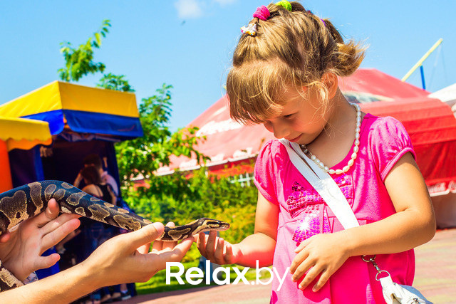 День Рождения лучшего парка: Dreamland 10 лет, фото № 6