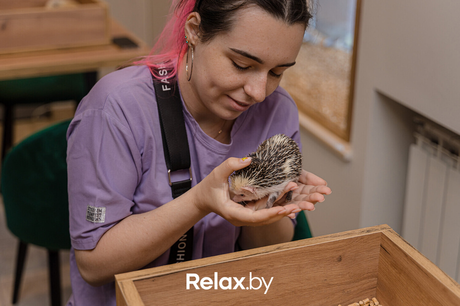 Открытие антикафе «Ёж кафе», фото № 53