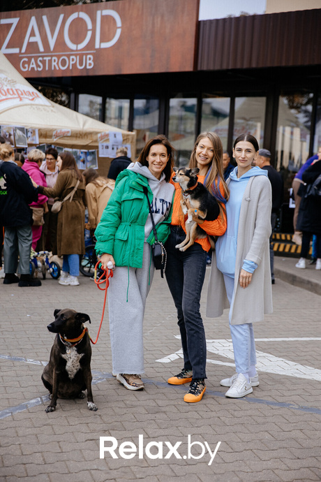 Благотворительная акция пушистого добра, фото № 133