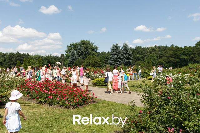 Фестиваль роз, фото № 51