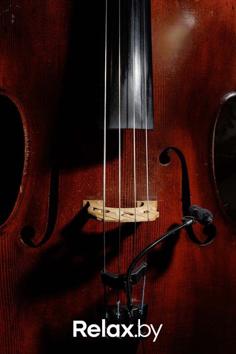 Astorio, фото № 23