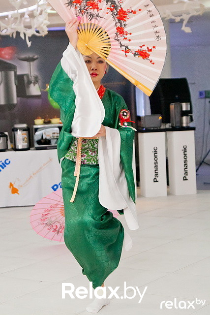 Презентация Panasonic, фото № 100