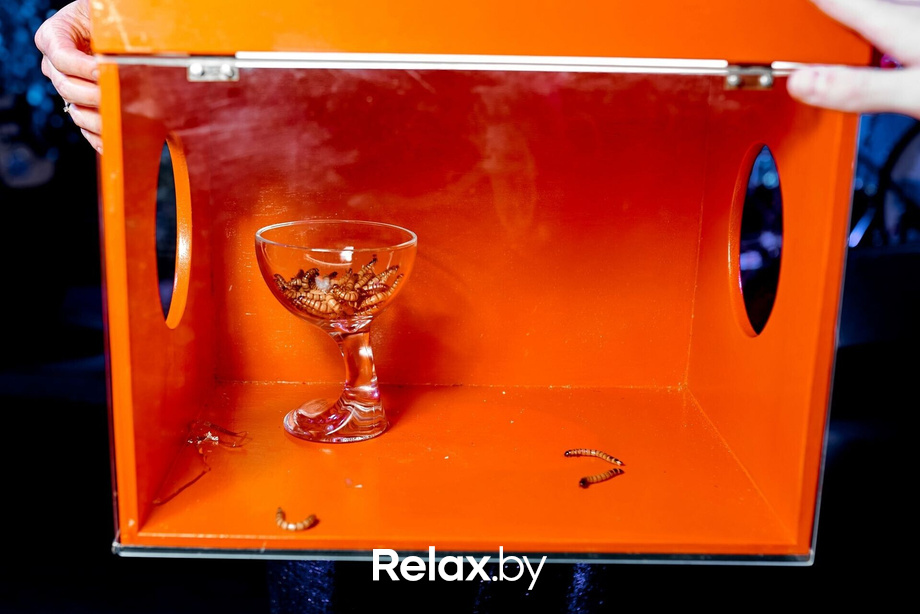 Thursday music, фото № 86