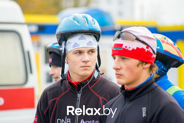 Золотая осень с Васильками, фото № 29