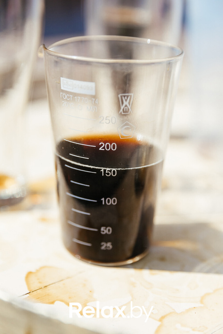 Бровару 27! Забег «Броварская миля 2024», фото № 19