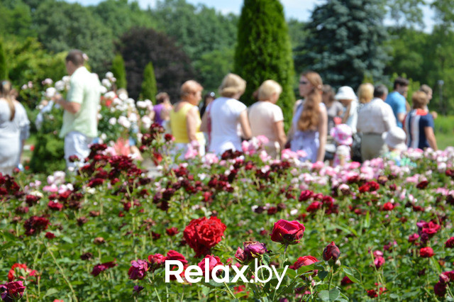 Фестиваль роз, фото № 55