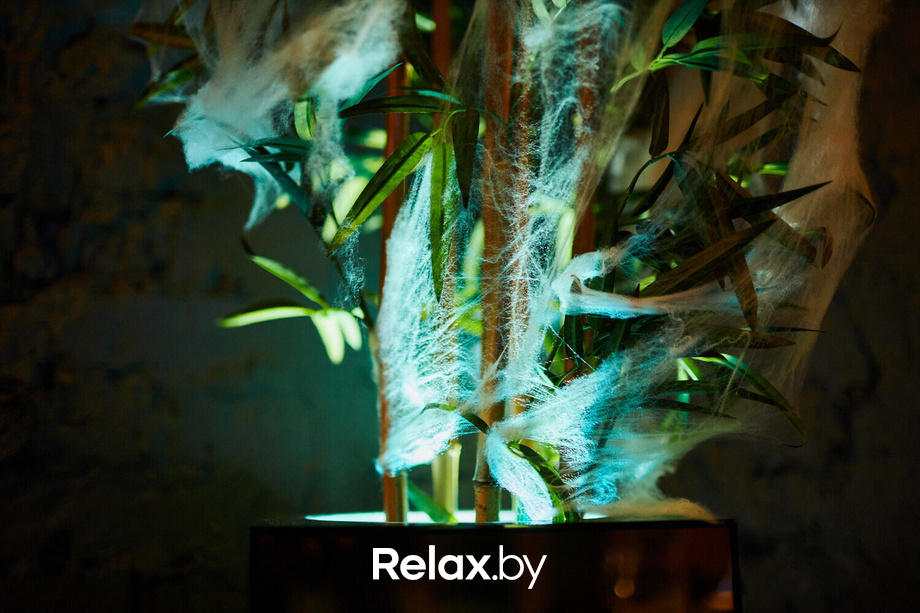 Nua Halloween Party, фото № 96