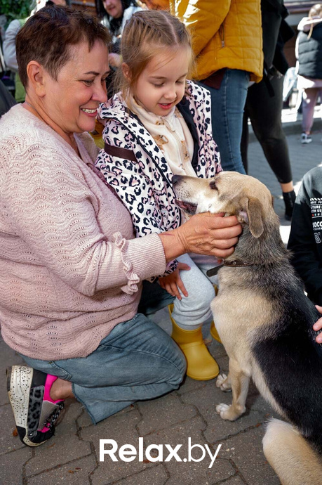 Акция пушистого добра, фото № 21