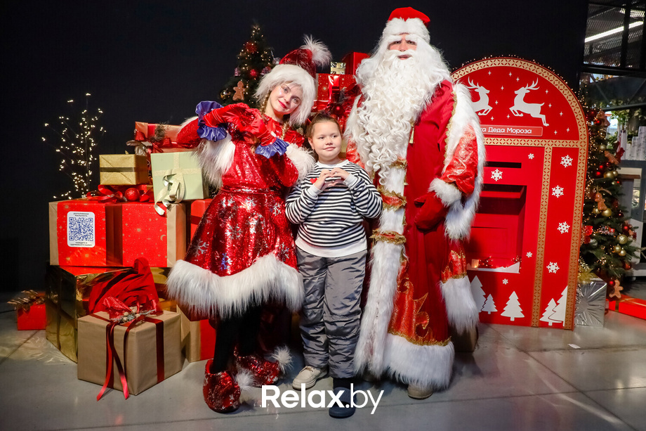 Резиденция Деда Мороза в Galileo, фото № 36