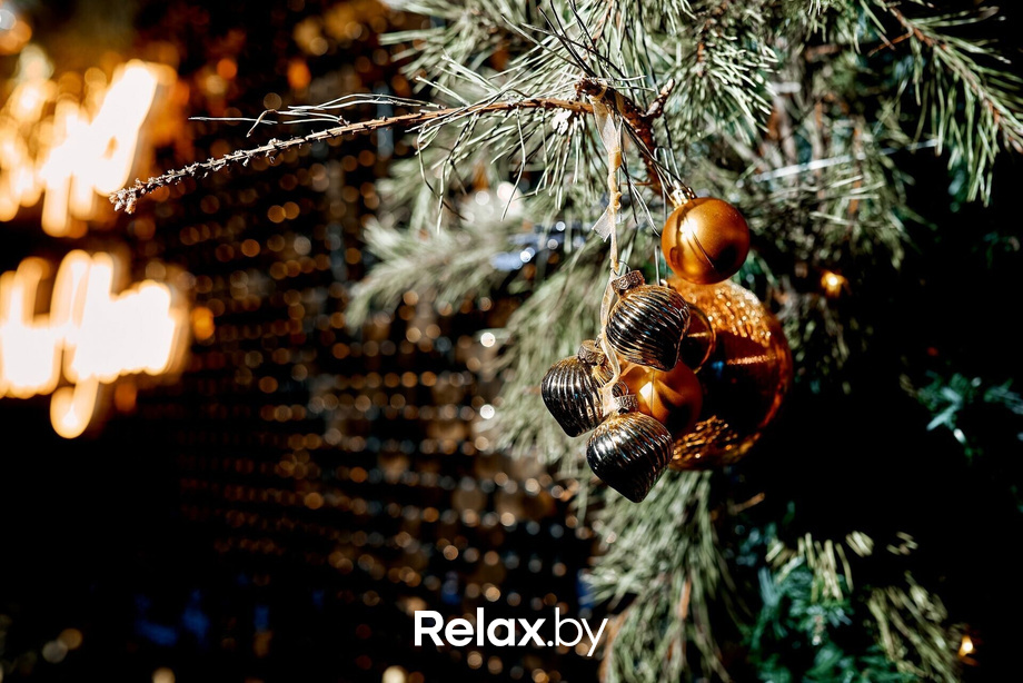 Предновогодние вечеринки в Ангелах, фото № 30