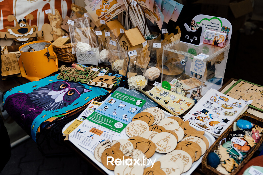 Благотворительная акция пушистого добра, фото № 48