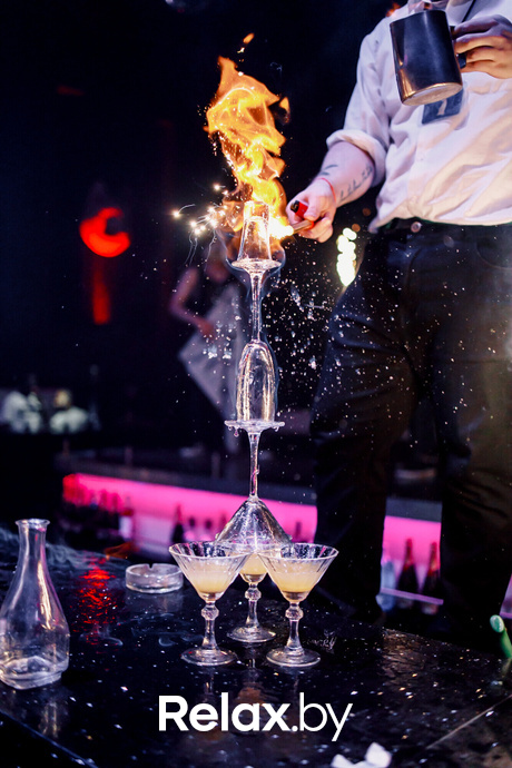 Rich Cat friday, фото № 103