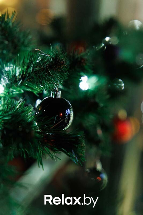 Live Music, фото № 38