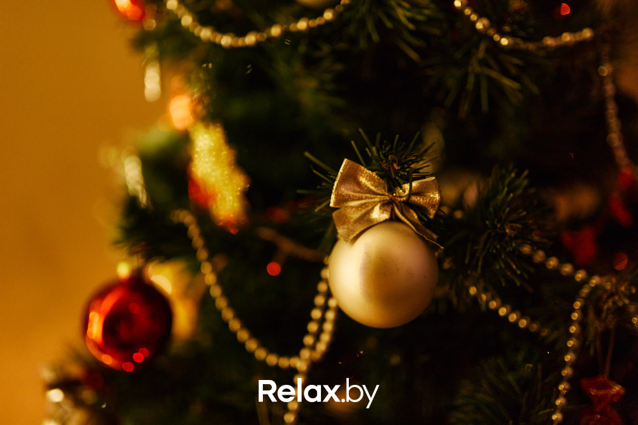 Ёлки 2021, фото № 7