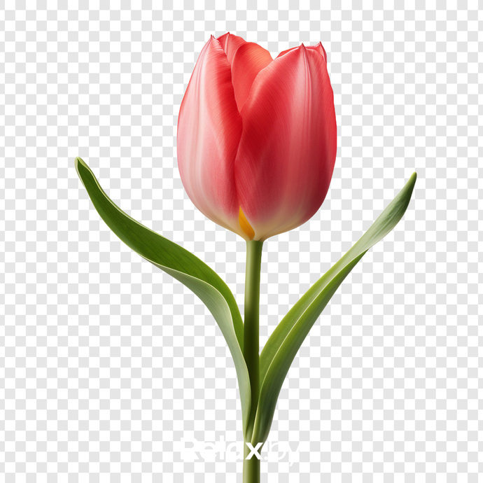 Тест, фото № 361