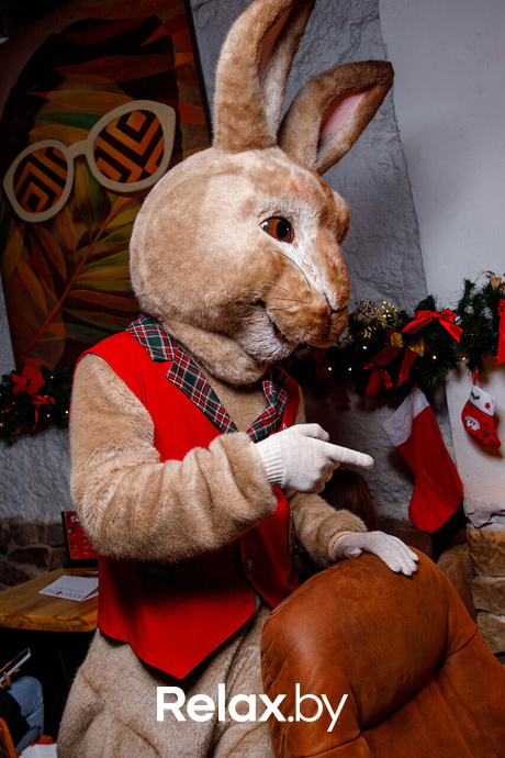 Live Lounge, фото № 8