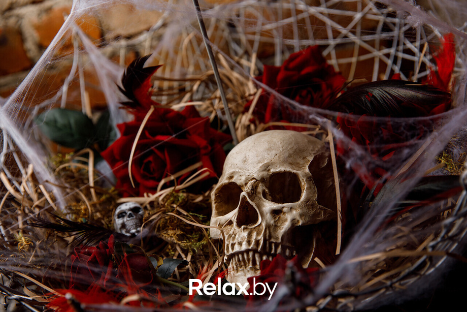 Halloween:Чародейка, фото № 9