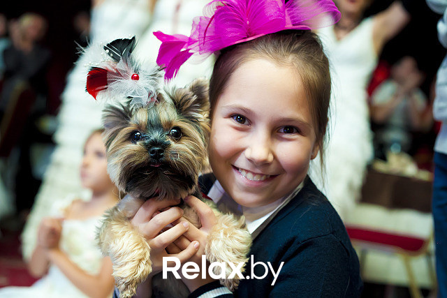 Парад невест 2013, фото № 5