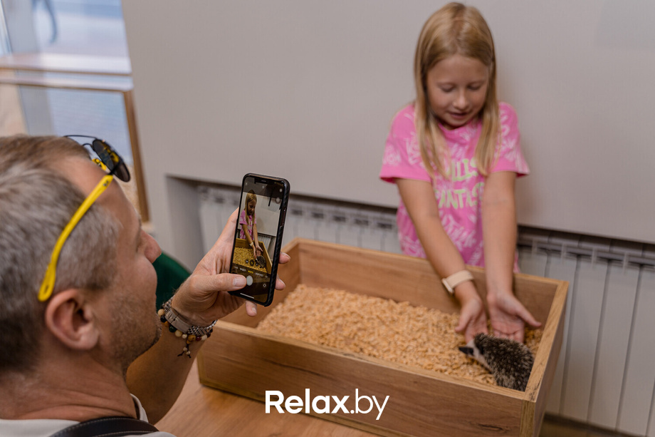 Открытие антикафе «Ёж кафе», фото № 15