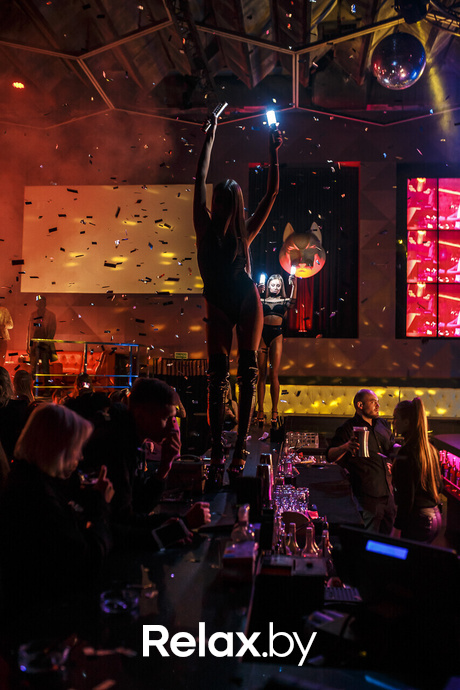 Вечеринка у кролика Роджера, фото № 43