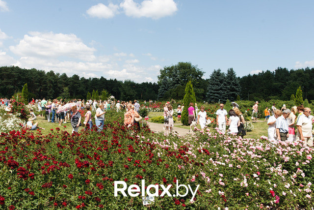 Фестиваль роз, фото № 35